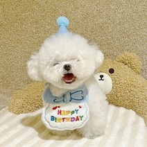 화예원 반려동물 강아지 생일 모자 파티 고양이 생일상 애견 돌잔치 고깔 모자 스카프 화예원 세트, 블루