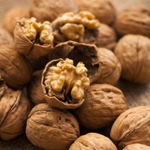 [충북농원] 관핵 호두 묘목 2-3년생 접목묘, 접목/2년생/H0.8