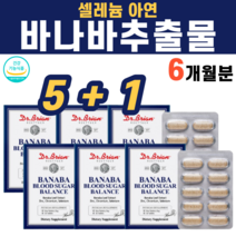 바나바잎추출물 바나나잎추출물 식후 식전 혈당 코로솔산 ptp 개별포장 아연 셀렌 셀레늄 크롬 셀레륨 여주 열매 추출물 노팔 면역력 영양제 보조제, 6박스