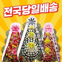 [심고거둠] 정품 근조 화환 당일 배송 축하 개업 화환 (재사용 X)