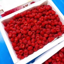 GAP 포항 장기 냉동 햇 급냉 산딸기 흑딸기 1kg, 산딸기1kg(급냉), 1개, 산딸기1kg(급냉)