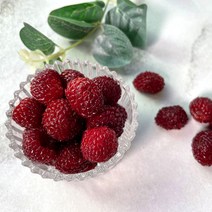 포항 장기 고당도 새콤달콤 급냉 산딸기 GAP 산지직송 500g 1kg 2kg 4kg, (급냉) 산딸기 1kg