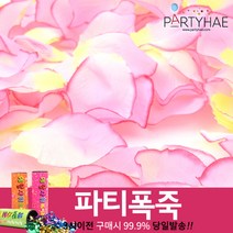 (주)파티해 폭죽 - 웨딩 결혼식축포 플라워사워 릴테잎 꽃가루 세트, F02_플라워샤워이벤트꽃잎-라벤더