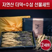 자연산 더덕 수삼 선물세트 국내산 인삼 생삼 야생 산더덕 생더덕 산지직송 사포닌 진세노사이드 꿀절임 차 주스 담금주 구이 요리용 명절 설 추석 선물용, 2세트