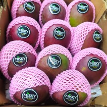 페루 애플망고 8-10과 (중과 450g내외), 1box, 8-10입 4kg