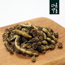 다온약초 회화나무열매 괴각, 1개, 600g