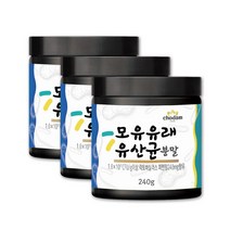신프리바이오틱스 모유유래유산균 분말 1000억 유산균 가루 락토바실러스퍼멘텀 신프로바이오틱스 프락토올리고당 온가족 청소년 노인 유산균 먹이 혼합 복합 생유산균19 X 240g 3통