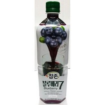블루베리농축액 블루베리 원액 참존 835ml 과일 음료 베이스 과즙 참존, 상세페이지 참조, 상세페이지 참조