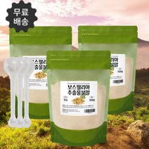 관절 보스웰리아 분말 가루 유향 유항 보스 웰리스 웰릭산 보수 엘리아 관절 효능 500g3팩