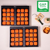 1+1 감좋은날 청도 반건시 곶감 선물세트+선물가방포함 20구 24구, 2박스, 청도반건시 (중자) 24구 60g내