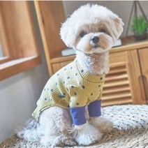 강아지옷 의류 레이어드 산책 패션 의상 도트 티셔츠, wltn406 머스타드 XL