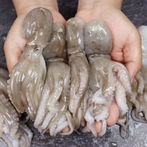 서해안 서천 산지직송 쭈꾸미 생물 주꾸미 1kg, 푸띠 서해안 서천 생물 주꾸미 1kg