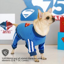 패리스독 슈퍼맨트레이닝복 강아지츄리닝 강아지옷, 핑크