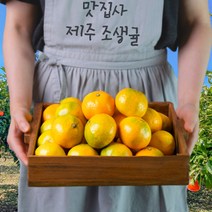 맛집사 제주도 조생 귤 고당도 제주 노지 감귤 선물용 가정용 5kg 10kg, 귤 5kg(로얄과)