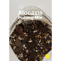 메리플랜트 핸드메이드 배합토 3L 희귀식물 안스리움 알로카시아 분갈이 흙, 2.알로카시아전용