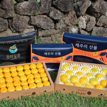 [귤담원]제주 추석 선물세트 천하일품 황금향 하우스감귤, 1박스, 04.하우스감귤 선물세트 2.5kg 로얄과(S-M)