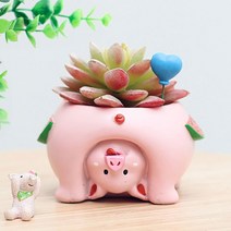 ROOGO 루고 화분 거꾸로 보는 세계 돼지