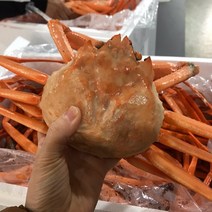 포항 구룡포 산지직송 자숙 연지 홍게 3kg (10~13마리), (고급형) 특 A급 3kg (12미 내외)