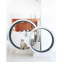 다이어트 쳇바퀴 장난감 스트레스해소 고양이 캣휠, 대형