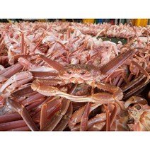 선주직송 영덕대게 1kg 생물 자숙 포항 구룡포 후포