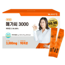 비타민마을 메가씨 3000 비타민C 분말 스틱, 3g, 250개
