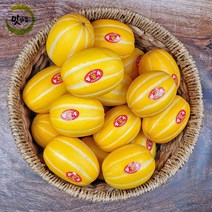 맛가득 프리미엄 성주참외 망고참외 꿀참외 참외 2Kg 5Kg 10Kg 11Kg, 프리미엄 성주꼬마참외 21-23과 3Kg