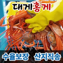 대게 홍게 박달대게 연지홍게 울진 후포리 영덕대게 박달홍게 산지직송 수율보장, 5마리, 2. 일품대게(찜자숙), 중사이즈