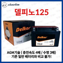 대림 델피노125 델피노 125 AGM 배터리 12V 8Ah