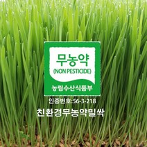 분당밀싹농장 밀싹1200g 밀싹, 1개