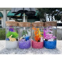 마리모키우기 국산 DIY 유리어항, 바이올렛, 요트, 파랑