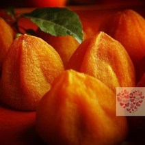 곶감 선물 세트 특급 건시 국내산 500g 상주