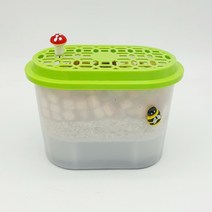 천연가습기만들기(편백나무)5인