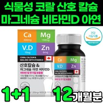 식물성 코랄 산호 캴슘 calcium 마그네슘 magnesium 비타민d 비타민디3 vitamind3 아연 대용량 청소년 초등학생 중학생 어린이 성장기 어르신 주니어 영양제 추천, 2박스(12개월분)