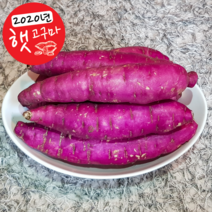 지유상회 꿀고구마, 1개, 긴중 10kg