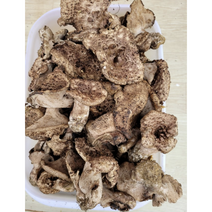 자연산 능이버섯 건조능이 100g B급 말린능이버섯 삼계탕재료 히말라야 청정지역 티벳 제배 건조능이버섯, 1개, 건조능이버섯 B급 100g