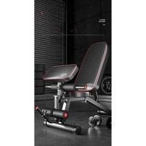 로만 체어 기립근 운동 복근 코어 허리근육 강화, 전문피트니스 8 in 1/60lbs 텐션로프