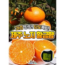 제주 노지 황금향, 소과 4kg