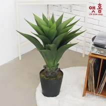 앳홈 리쏘 아테누아타 85cm, 단품