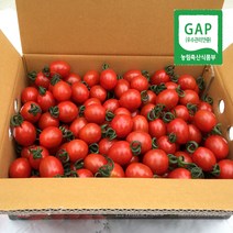 ThreePines GAP 대추 방울토마토, 1box, 2Kg(3-4번과)