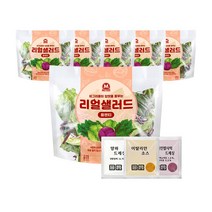미트리 리얼 샐러드 플렌티, 70g. 6팩, 6개, 70g