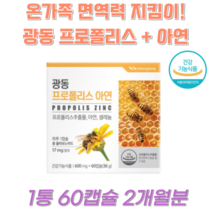 (정품) 프르폴리스 입안 아플때 구내염 입속건강 헐었을때 입병 환절기 건강 몸속염증 비염 면역력강화 면역력개선 면역체계강화 입안염증, 1개, 60정
