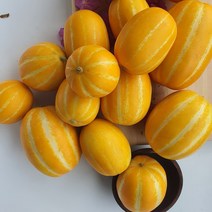 참외 진짜 단 성주참외 프리미엄 실속형 3kg 실중량, 1박스, 성주참외 프리미엄 실속형 랜덤 3kg