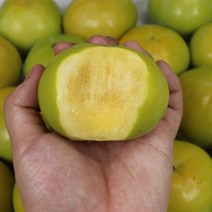 밀양단감 산지직송 햇단감 배단감 태추단감 4.5kg, 1박스, 밀양 태추단감 실속 4.5k 21-23과