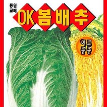 [가람종묘사] OK봄배추 씨앗(통이 크고 속이 노란 봄배추 품종)