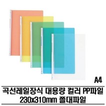 기타 레일클리어홀더 대용량 PP파일(A4) 300P 쫄대파일, 녹색