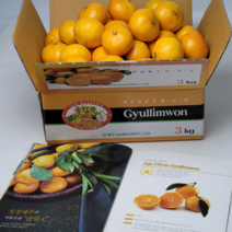 [제주직송] 복불복 없는 고당도 제주 타이벡 감귤 타이백귤 2.5kg 4.5kg 소과 중과 로열과, 타이백감귤(L)4.5kg