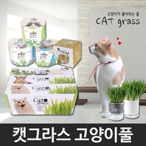 꿈쟁이 캣그라스 고양이풀 밀 캣닢 귀리 원형 투명 투톤화분 키우기 고양이간식, 1개, 배양토 2.5L