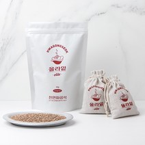 올라잍 천연화공석 반영구 탈취제 제습제 냄새제거 화공석 올라잍 제습탈취제, 1kg
