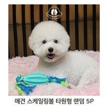 강아지 타원형 5P 랜덤 치석제거 애견 고무 장난감 (W91B942), 없음
