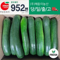 <해돋이농산> 국내산 쥬키니호박 주키니호박 못난이호박 5kg 10kg